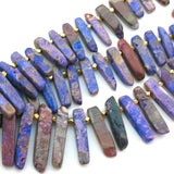 Come Out of Your Shell