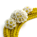 A Dollop of Daisies