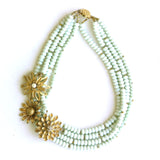 X is for Xerophilous