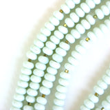 X is for Xerophilous