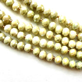 Beachcomber Collection
