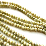 Beachcomber Collection