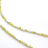 Tassel Necklace