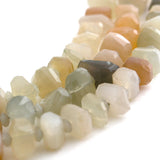 Most Marvelous Moonlight