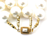 Encased in Elegance